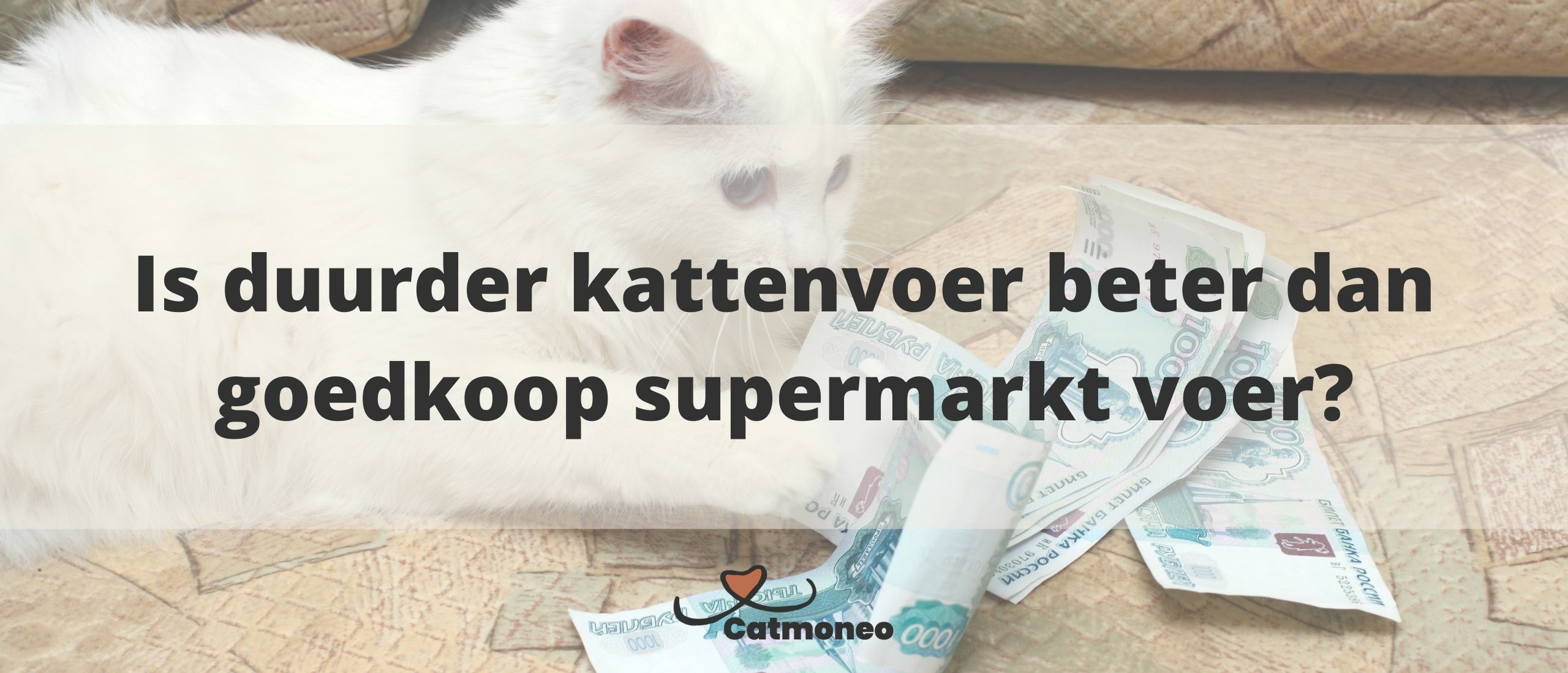 juliet kattenvoeding