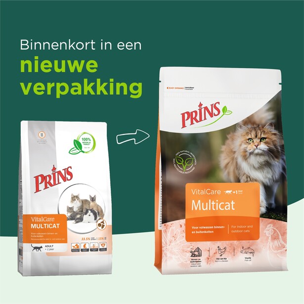 prins kattenvoeding