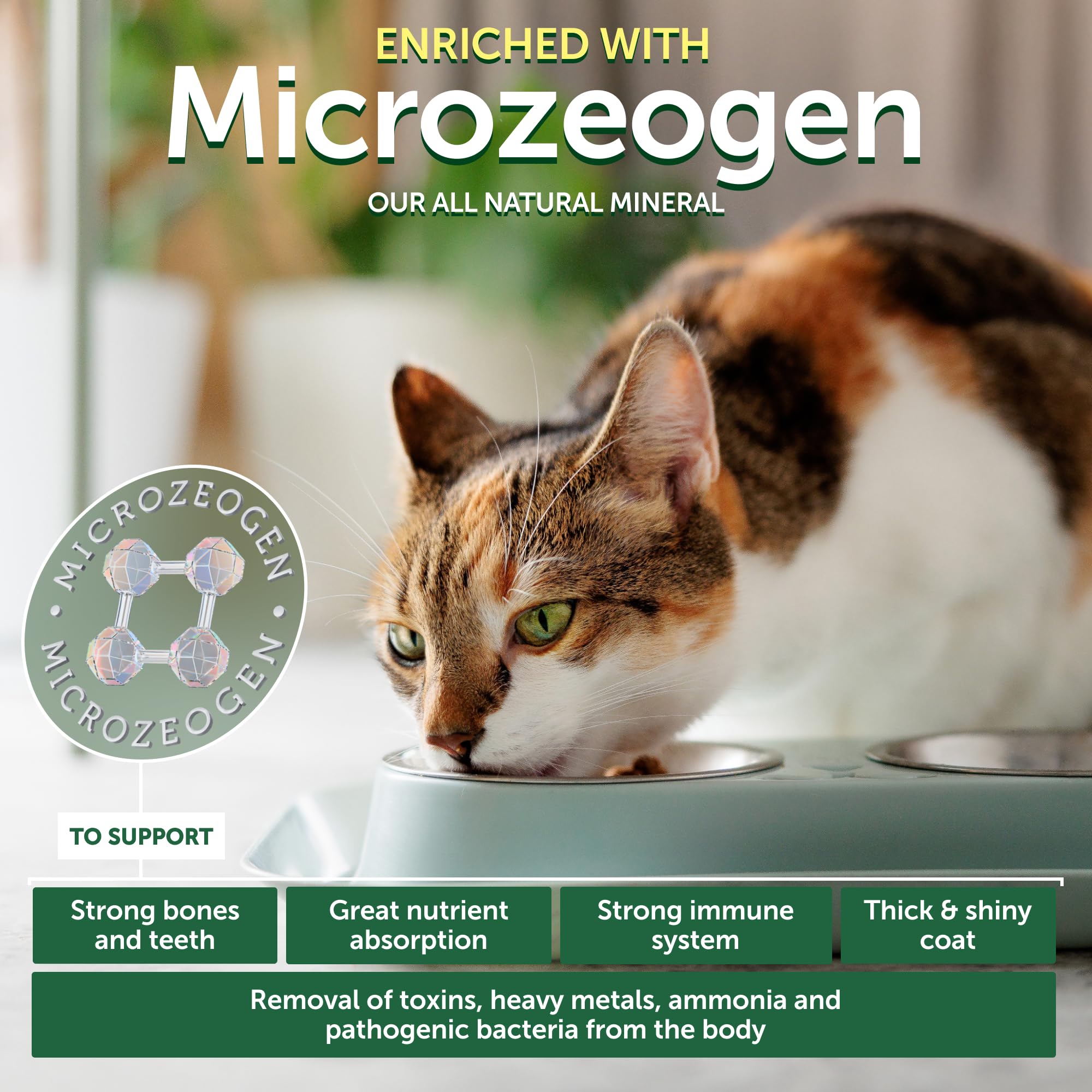 droog kattenvoer zonder granen