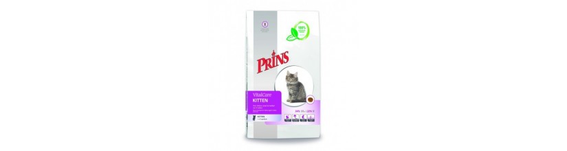 prins kitten