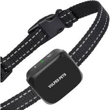 blafband kleine hond