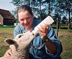 stichting landelijke herplaatsing huisdieren