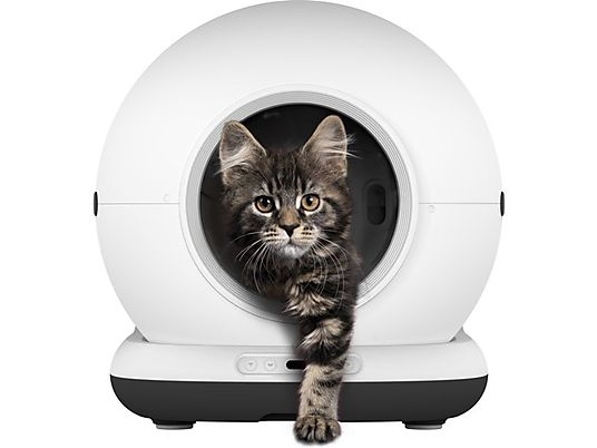 kattenbak kopen action