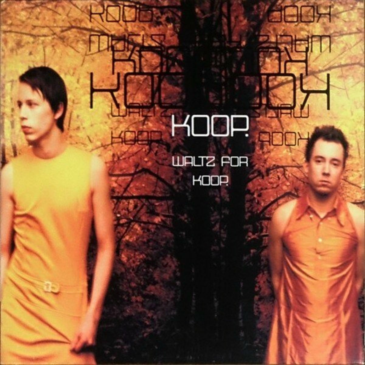 'koop