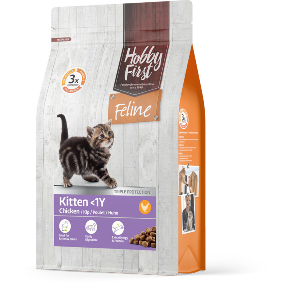 hobby cattery
