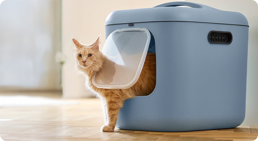rotho biala kattenbak
