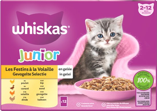 whiskas natvoer kitten