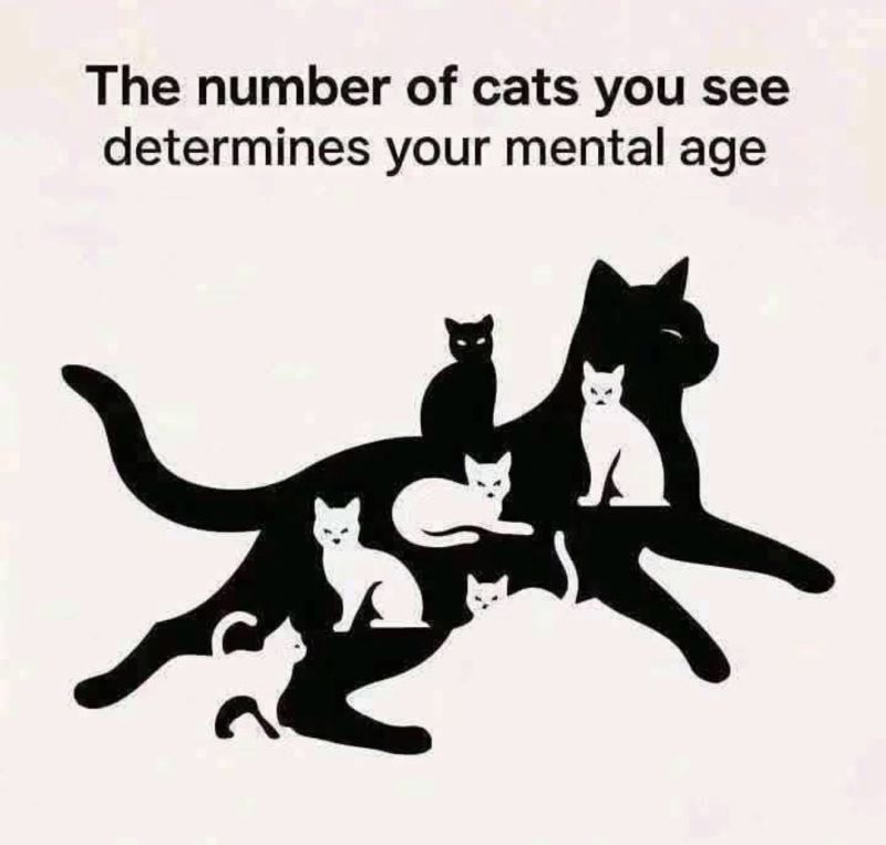 in onze database zijn veel verschillende katten te vinden