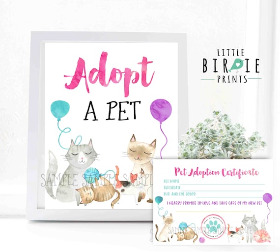 katten adoptie