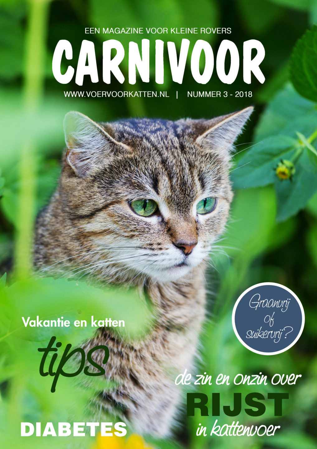 beste kattenvoer consumentenbond