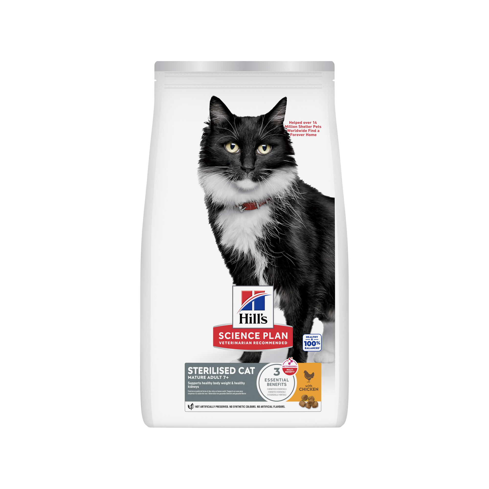 beste kattenvoer voor oudere katten