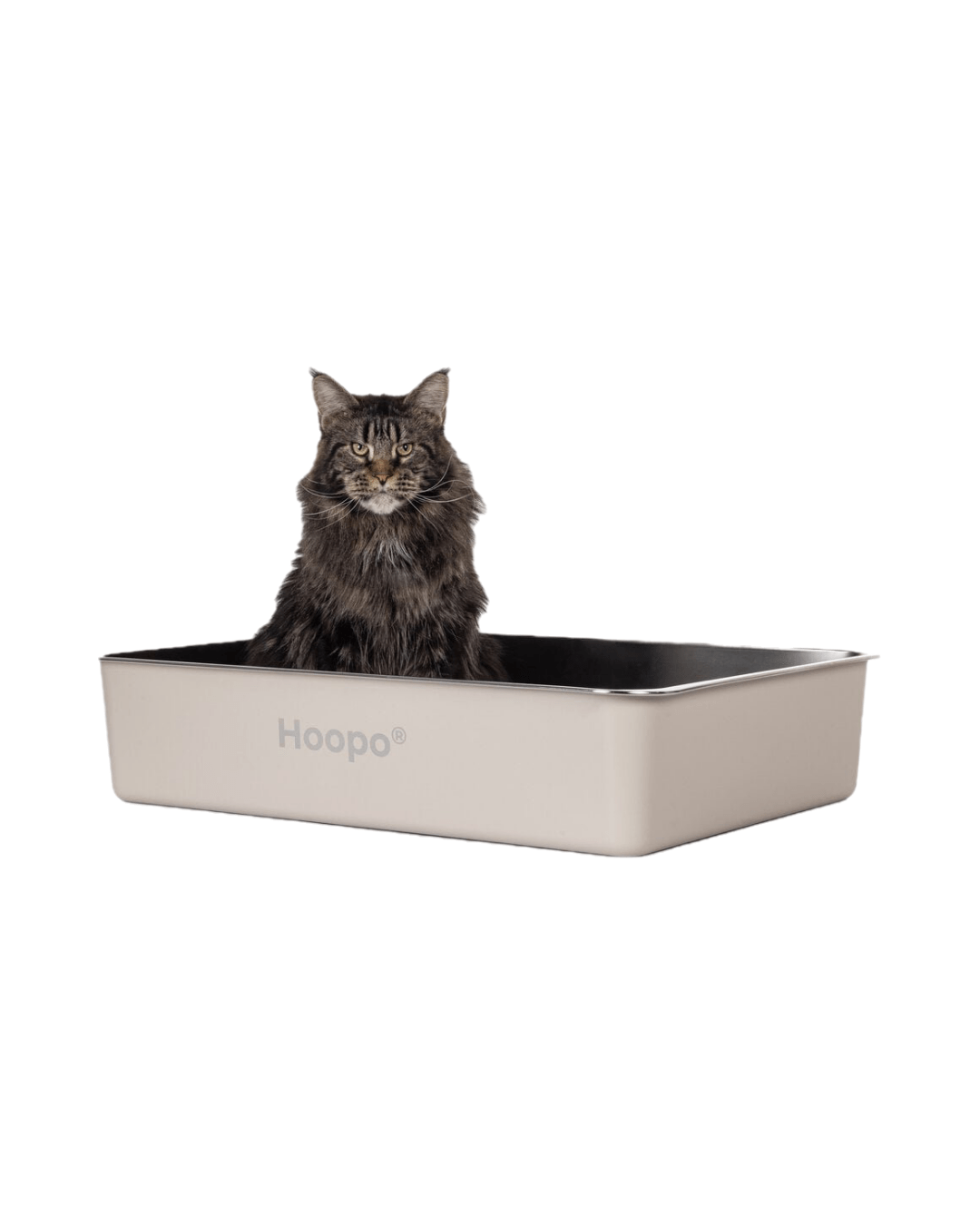 kattenbak groot